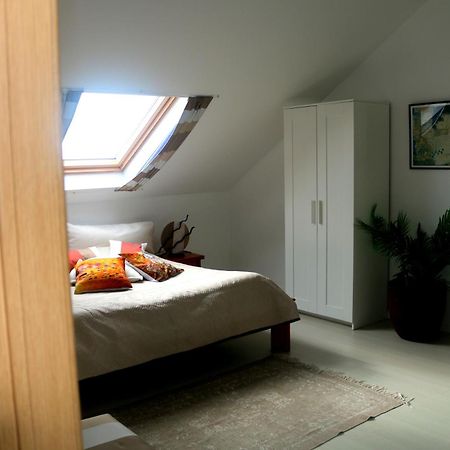 Madeira Native Motion Apartment 蓬塔杜帕戈 外观 照片