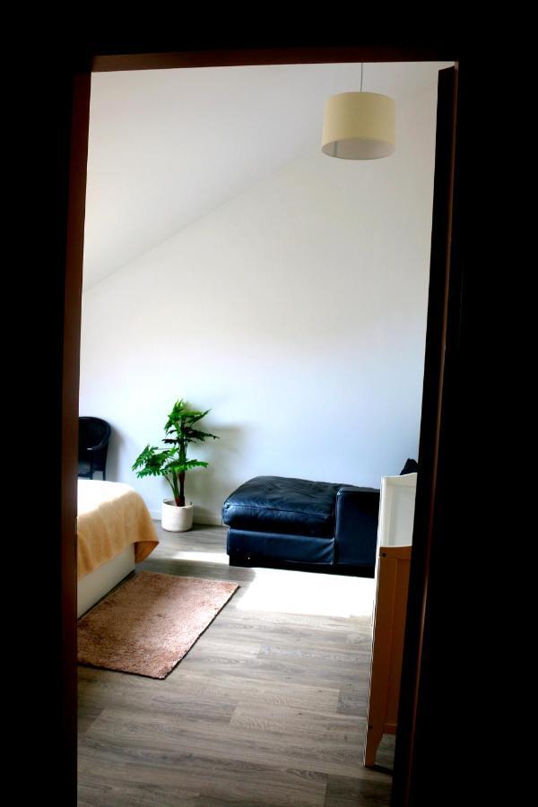 Madeira Native Motion Apartment 蓬塔杜帕戈 外观 照片