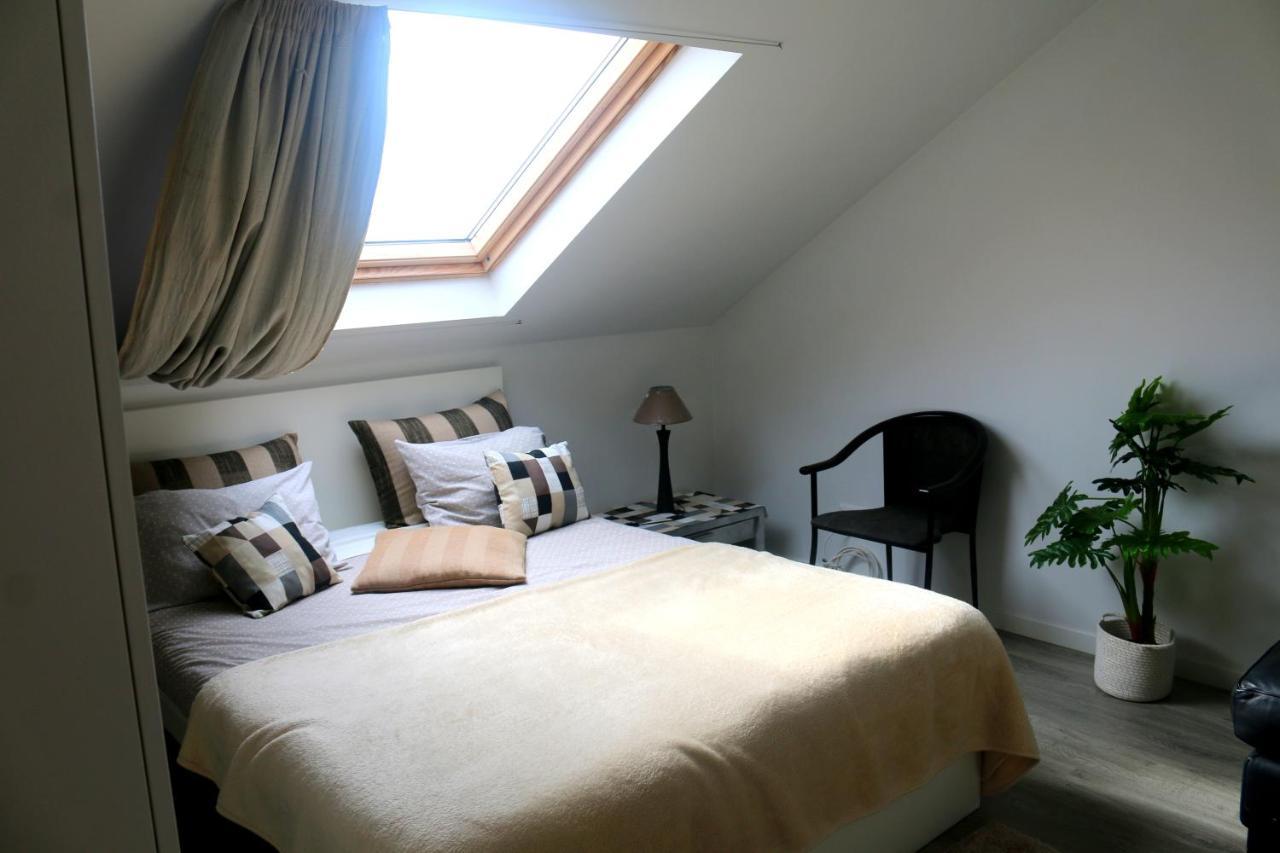 Madeira Native Motion Apartment 蓬塔杜帕戈 外观 照片